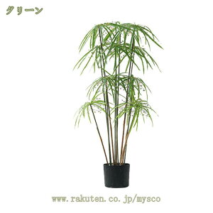 1000~OFFN[| ϗtA tFCNO[ ԑ Ύ  CeAO[ ^ tFCNϗtA lHϗtA A CeA Vv tFCN 썑  sv 