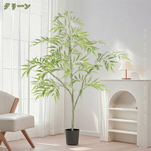 300~OFFN[| ϗtA tFCNO[ ou[ Ύ  CeAO[ ^ tFCNϗtA lHϗtA A CeA Vv tFCN 썑  sv 