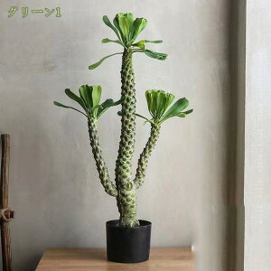 T{e tFCNO[ ϗtA p   ItBX rO  CeA pr tFCNϗtA lHϗt Vv A  썑 t t sv ͂