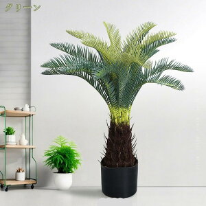 777~OFFN[| tFCNO[ \ec lHϗtA tFCN   ^ CeA bȂ  Lb` ItBX  j A lHϗt Vv A 