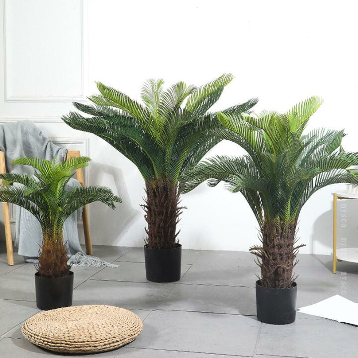 楽天市場】1000円OFFクーポン フェイクグリーン ソテツ 人工観葉植物 