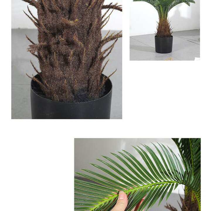 楽天市場】1000円OFFクーポン フェイクグリーン ソテツ 人工観葉植物 