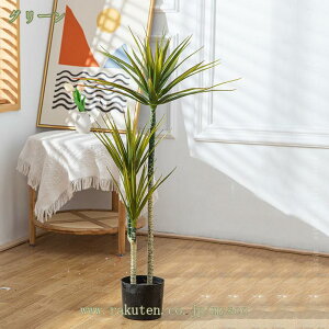 777~OFFN[| tFCNO[ \ec lHϗtA tFCN   ^ CeA bȂ  Lb` ItBX  j A lHϗt Vv A 