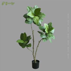 300~OFFN[| pL tFCNO[ S ϗtA  Ύ { 킢  ȒP L h lHϗtA lHϗt Vv ItBX  Ce