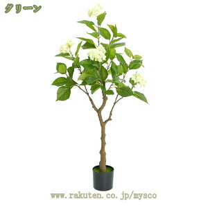 1000~OFFN[| z tFCNO[ lHϗtA ϗt ^  p  CeA 傫  ̂Ȃ z[ x_  rO  p S {