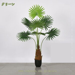 1000~OFFN[| rE tFCNO[ S ϗtA  Ύ { 킢  ȒP L h lHϗtA lHϗt Vv ItBX  Ce