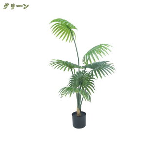 AJV tFCNO[ ϗtA p   ItBX rO  CeA pr tFCNϗtA lHϗt Vv A  썑 t t sv 