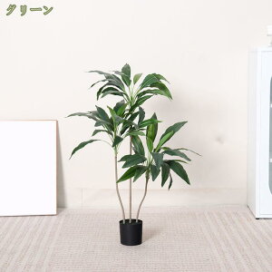  ₵̃tFCNO[ lHϗtA K^̖ ϗtA sv Q쏜sv L R    rO  ƒ Mtg Vzj  zj ϗt lHϗ