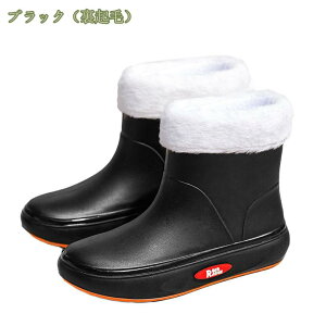 CV[Y fB[X y CV[Y V[g ZC IV Cu[c JC Lb`V[Y h ނ Ԍ ~J΍ 䕗 ʋ ʊw Jp Cu[c l  