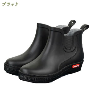 500~OFFN[| Cu[c fB[X V[g y o[u[c n hH JC h  C [q[ ʋ ʊw V[gCu[c wlC ~J Jp ʋ ʊw y