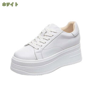 300~OFFN[| Xj[J[ fB[X q[Xj[J[ 7CM gAbv r Cq[ Cq[Xj[J[ fB[XXj[J[  V[NbgV[Y RtH[g [X