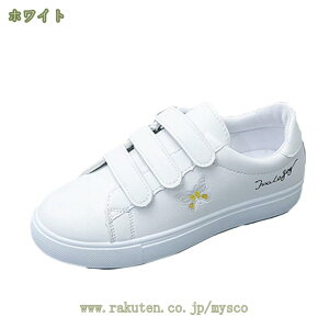 ₷ Xb| fB[X [t@[ r C Xj[J[ [Jbg EhgD JWA  Xb| Xj[J[   ʊw ʋ s y ʋC 