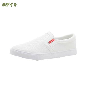 500~OFFN[| Xj[J[ Xb| Y  y RȂ 㗚 ʋ ʊw R[f JWA EH[LOV[Y rW[ Vv [JbghCrOV[Y [t@[