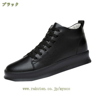 300~OFFN[| Xj[J[ Y {v JWAV[Y [Jbg   y ʋC fbLV[Y [XAbv  Vv ʊw ʋ 傫TCY TCY X|[c 