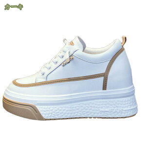 2000~OFFN[|  [XAbvV[Y Xj[J[ ʋΌC X{[cXj[J[ fB[XV[Y EH[LOV[Y ʊwC JWAV[Y  r ₷ 