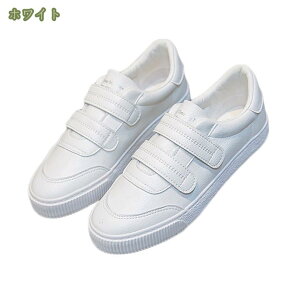 300~OFFN[| fB[X xNXj[J[ xN Xj[J[ ؂ zCg ubN    V[Y C tbg [JbgXj[J[ 킢  l }WbNe