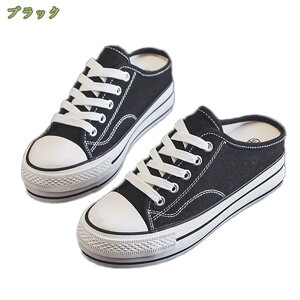 500~OFFN[| Xj[J[ [XAbv Xb| ƂȂ n r gAbv 5.5cmq[ fB[X   LoX  ₷ NbV EFbW\[ C