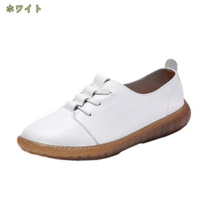 500~OFFN[| EH[LOV[Y ʊw ʋ 풅p d fbLV[Y NbV  nCLO Xj[J[ fB[X  _bhXj[J[ wl V[Y y