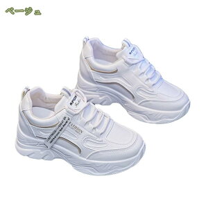 500~OFFN[| Xj[J[ fB[X Xj[J[ _bhXj[J[ X|[c jOV[Y EH[LOV[Y ^C ʋC JWA r y gAbv ʋ 