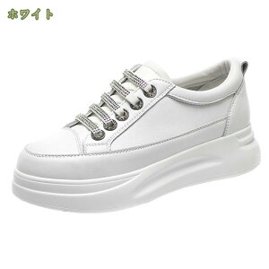 777~OFFN[| Xj[J[ [Jbg Xj[J[ EFbW\[ JWAV[Y ^C [XAbvV[Y fB[X ~ y Xj[J[ s n q[Abv E