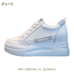 300~OFFN[| Xj[J[ fB[X Xj[J[ Cq[Xj[J[  X|[c V[Y jOV[Y EH[LOV[Y ^C ʋC bV JWA C r 