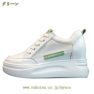 300~OFFN[| Xj[J[ fB[X Xj[J[ Cq[Xj[J[  X|[c V[Y jOV[Y EH[LOV[Y ^C ʋC bV JWA C r 