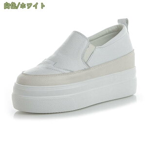 fB[XC V[Y Xj[J[ nCq[ Cq[Xj[J[ Xj[J[ fB[X bVXj[  [JbgCq[Xj[J[ 傫TCY TCY mysco