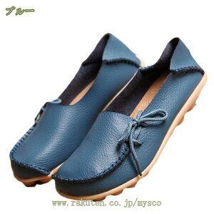 500~OFFN[| fB[XJV oGV[Y EhwbhV[Y wC fB[XSC ʊw ʋ  i[XV[Y  Ōt ₷ RtH[g hC