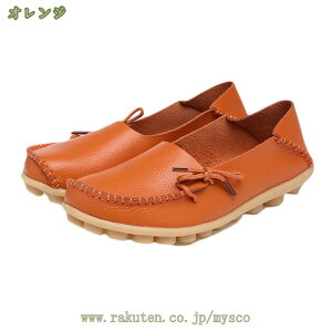 300~OFFN[| fB[XJV oGV[Y EhwbhV[Y wC fB[XSC ʊw ʋ  i[XV[Y  Ōt ₷ RtH[g hC