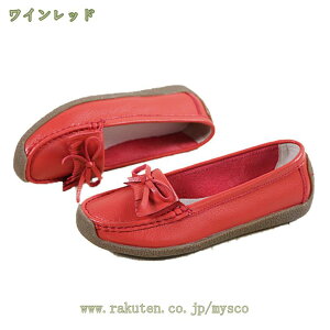 1000~OFFN[| Xj[J[ Xj[J[ fB[X Ȃ fB[XV[Y i[XV[Y pvX EH[LOV[Y ɂȂ Xb| ₷ zCg  tb