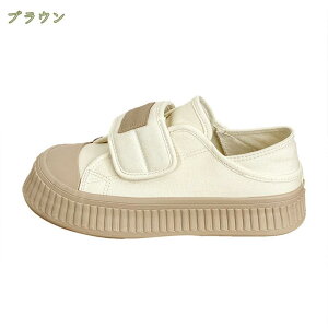 500~OFFN[| Xb| fB[X Xj[J[ ؂ y^R  ₷ 傫TCY TCY ubN    pC\ Xb| tbgV[Y 킢 