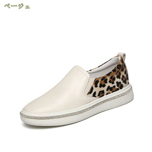 Xb| fB[X C Ip[h Xj[J[ ₷ Cq[ V[Y Ȃ qE v tbgV[Y tbg V[Y ʋ ʊw ^C ɂȂ Vv 