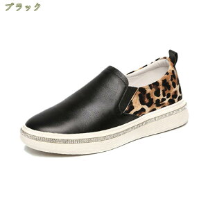 1000~OFFN[| Xb| fB[X C Ip[h Xj[J[ ₷ Cq[ V[Y Ȃ qE v tbgV[Y tbg V[Y ʋ ʊw ^C ɂ