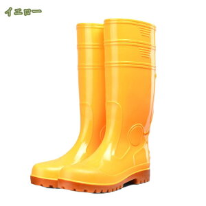 Cu[c Y O h h h  OCu[c o[u[c JC jp C ₷ ₷ JWAȃCu[c 傫TCY y hV