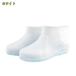 Sh Cu[c CV[Y C Y fB[X V[g y ~J JC V[gu[c o[V[Y JWA AEghA ʋ Sh _ | o[u[c J