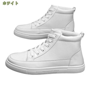 Y CV[Y V[gu[c n TCY t@Xi[ Cu[c ~J Jp V[g C ~J΍ t@bV 풅 ~ h ʋ ʊw Ԍ K 