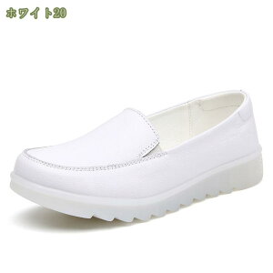 500~OFFN[| hCrOV[Y JWAV[Y JV ɂȂ ₷ fB[X V[Y Xb| ʋ ʊw ItBX [t@[ 傫TCY C Ȃ y 