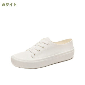 300~OFFN[| hV[Y fB[X CXj[J[ [XAbvCV[Y Jꌓp Cu[c V[g CV[Y ̐^ [Jbg y ₷ JC 