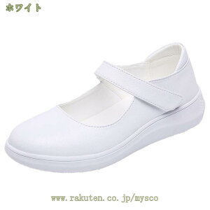 1000~OFFN[| fB[X JV [t@[ tbgV[Y Xb| }}V[Y RtH[g  ʋC JWA t  H hCrOV[Y _炩 ItBX 