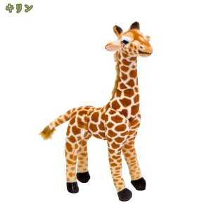  L  ʂ AAj} lR   NbV p[eB[ CeA i A Aj}  pT[ Ϗ fBXvC I[ig u a