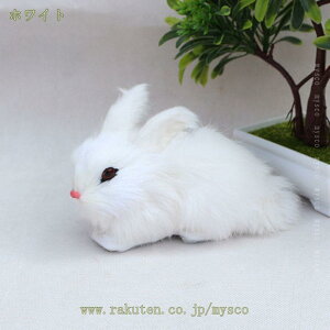 ۂʂ p_ ʂ  NbV 蕨 CeA ӂӂ  GG  oYj  傫 ]E ӂӂ p v[g  LN^[  m