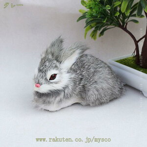 300~OFFN[| p_ ʂ  킢 ]E l`  a LO v[g   p V Mtg v[g  ̑蕨 sN u[ mysco