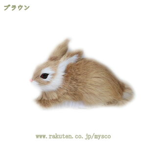 p_ ʂ  킢 ]E l`  a LO v[g   p V Mtg v[g  ̑蕨 sN u[ mysco