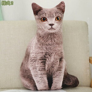 300~OFFN[| ʂ  lR L  A 傫 lR Lʂ lR L  j ӂӂʂ lR LD L  ӂӂ l` ̎q j̎q F