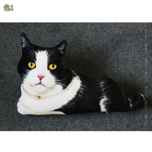 500~OFFN[| L A  ʂ L lR ˂D  lRʂ 􂦂 D 킢 킢 X[p[\tg A X a u^ L