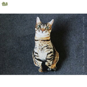 300~OFFN[| L A  ʂ L lR ˂D  lRʂ 􂦂 D 킢 킢 X[p[\tg A X a u^ L