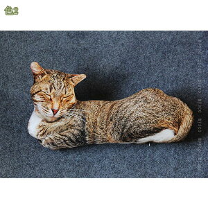 抱き枕 ネコ ねこ 大きい 猫ぬいぐるみ 大 猫 ねこ抱き枕 縫い包み クッション ネコぬいぐるみ 縫いぐるみ かわいい 店飾り 誕生日 記念日 かわいい 卒業祝い 部屋飾り 大きい 置き型 店飾り