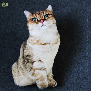 1000~OFFN[|  lR ˂ 傫 Lʂ  L ˂ D NbV lRʂ D 킢 X a LO 킢 Əj  傫