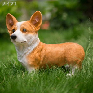 300~OFFN[| K[fI[ig u 낢  IuWF R[M[ pO ̒u i i v[g L[g ̏ YȒu  낢u 