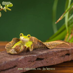 500~OFFN[| ߂׍H ^ ERhE aG u G Â Փ CeA    JG̒u IV yY s ̊  ֏ ΂ 蕨 